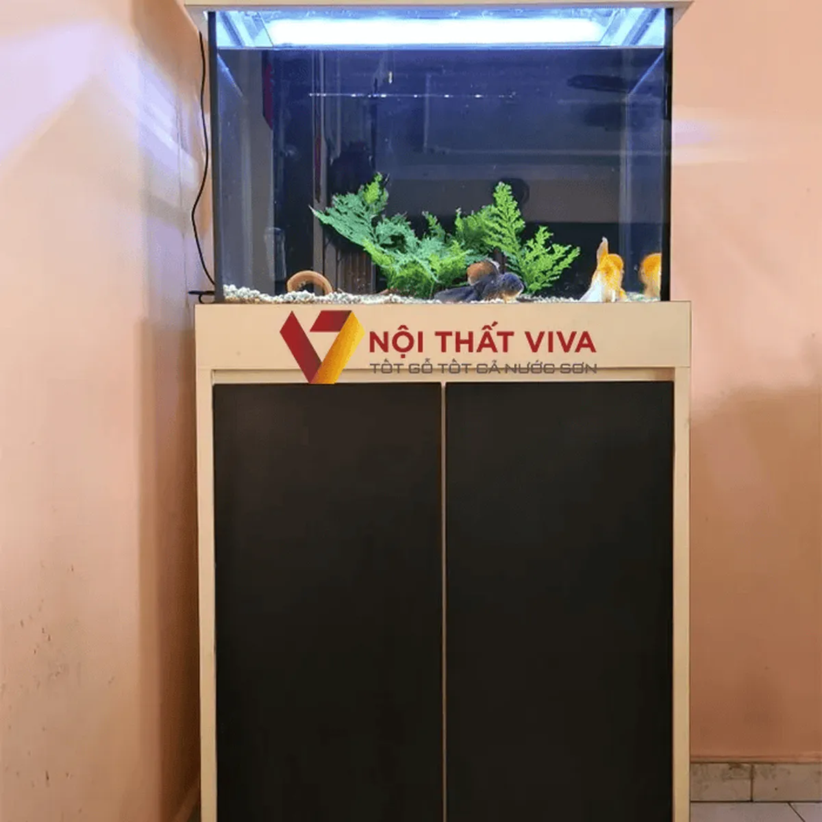 Tủ Bể Cá Tủ Bể Cá