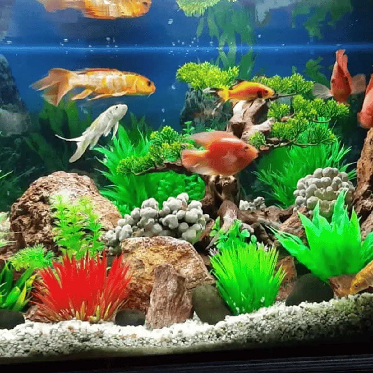 Tủ Bể Cá Tủ Bể Cá