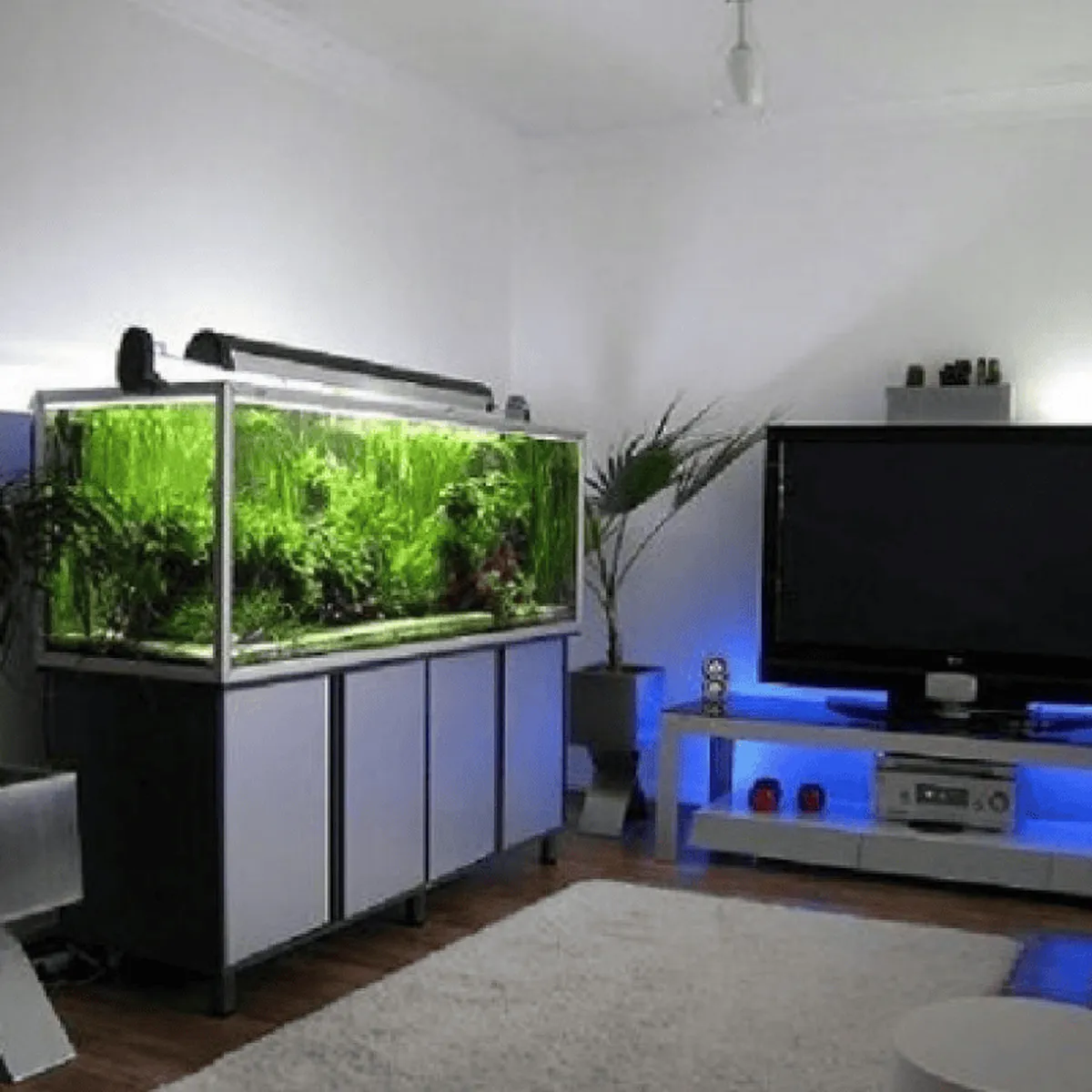 Tủ Bể Cá Tủ Bể Cá