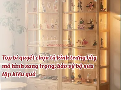 Top bí quyết chọn tủ kính trưng bày mô hình sang trọng, bảo vệ bộ sưu tập hiệu quả