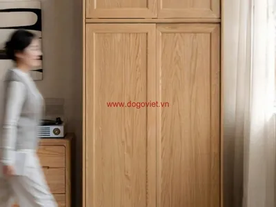 Tủ quần áo 2 cánh gỗ tự nhiên: Nên mua loại nào? Mẫu mã & giá thị trường