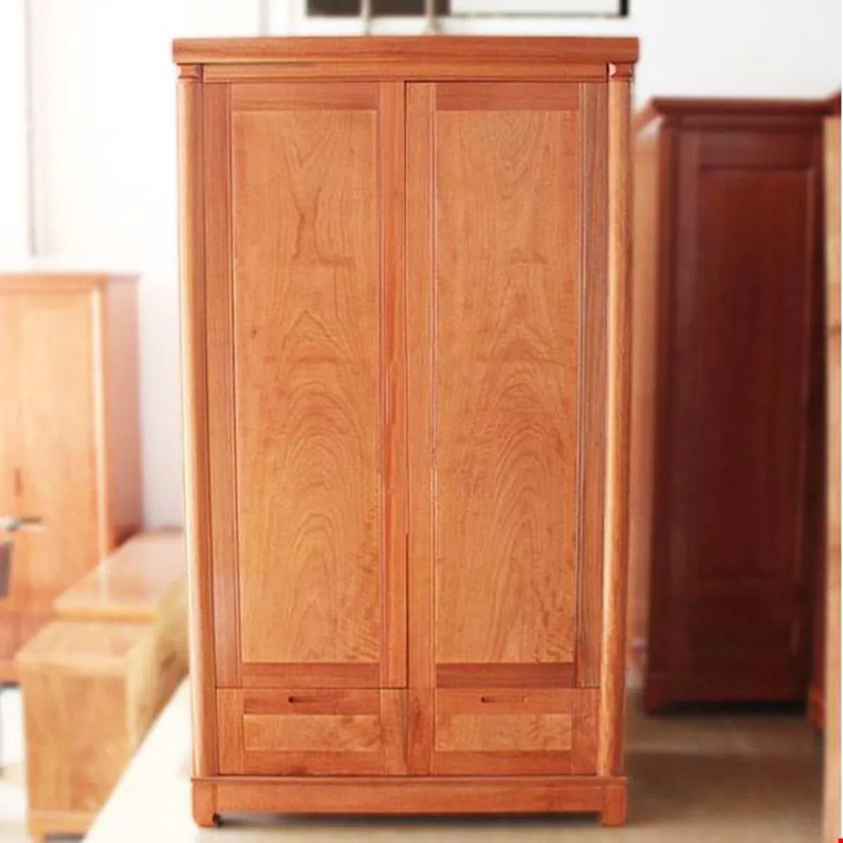 Tủ quần áo 2 cánh gỗ tự nhiên: Nên mua loại nào? Mẫu mã & giá thị trường