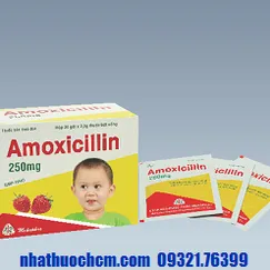 Thuốc kháng sinh AMOXICILLIN 250mg gói