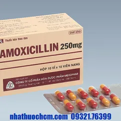 Thuốc kháng sinh AMOXICILLIN 250mg viên