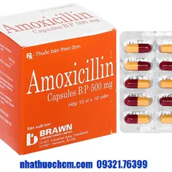 Thuốc kháng sinh AMOXICILLIN 500mg