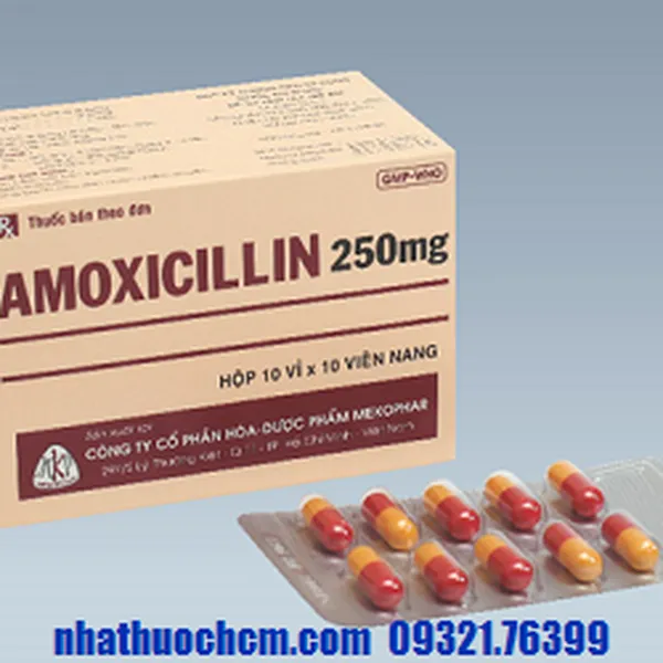 Thuốc kháng sinh AMOXICILLIN 250mg viên