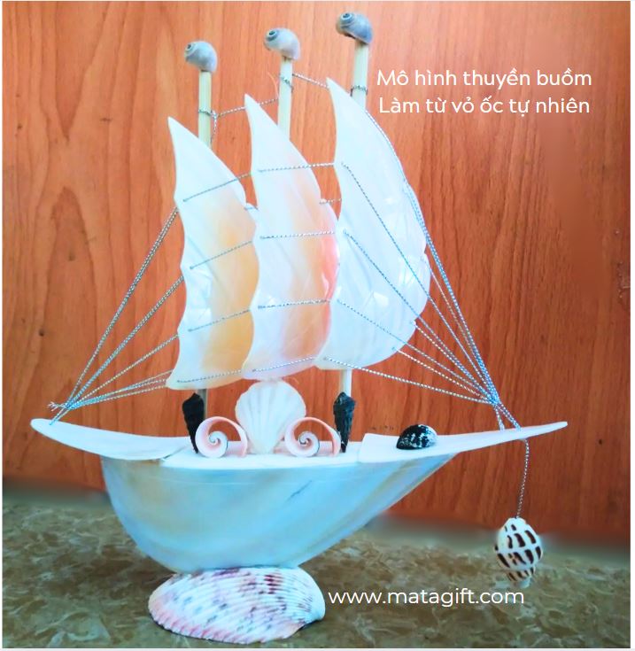 Mô hình thuyền buồm vỏ ốc lưu niệm đẹp Mô hình thuyền buồm vỏ ốc lưu niệm đẹp