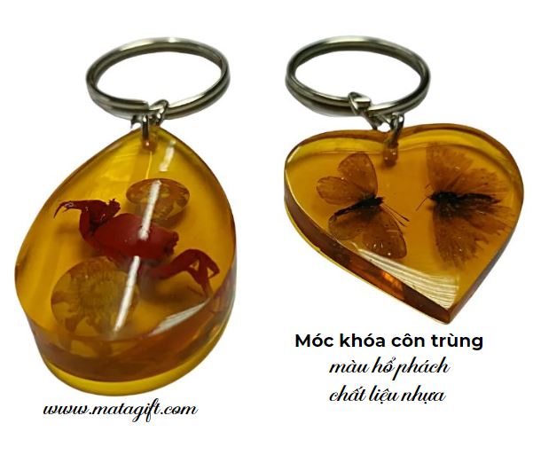 Móc khóa côn trùng nhựa màu hổ phách Móc khóa côn trùng nhựa màu hổ phách