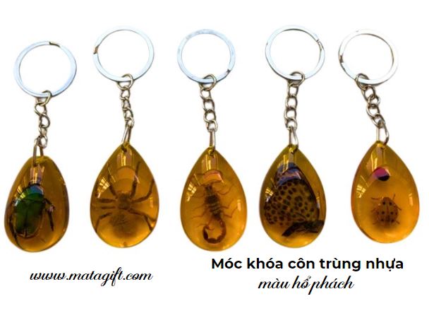 Móc khóa côn trùng nhựa màu hổ phách Móc khóa côn trùng nhựa màu hổ phách