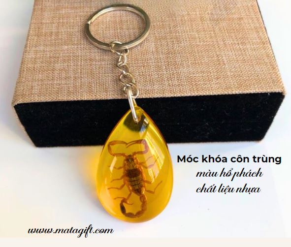 Móc khóa côn trùng nhựa màu hổ phách Móc khóa côn trùng nhựa màu hổ phách
