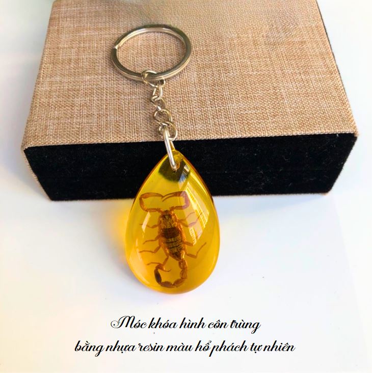 Móc khoá hình côn trùng bò cạp bướm bằng nhựa resin màu hổ phách tự nhiên Móc khoá hình côn trùng bò cạp bướm bằng nhựa resin màu hổ phách tự nhiên