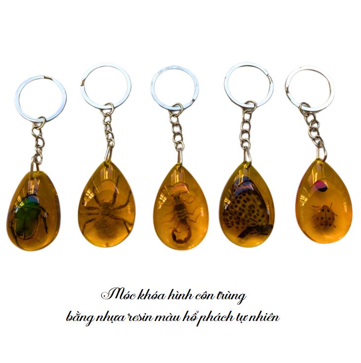Móc khoá hình côn trùng bò cạp bướm bằng nhựa resin màu hổ phách tự nhiên Móc khoá hình côn trùng bò cạp bướm bằng nhựa resin màu hổ phách tự nhiên