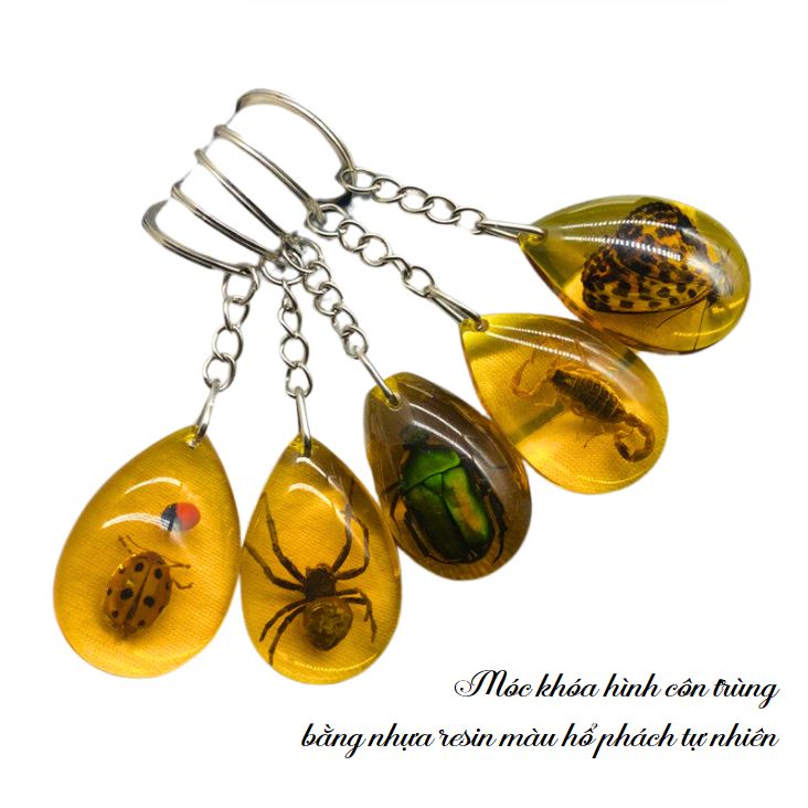 Móc khoá hình côn trùng bò cạp bướm bằng nhựa resin màu hổ phách tự nhiên Móc khoá hình côn trùng bò cạp bướm bằng nhựa resin màu hổ phách tự nhiên