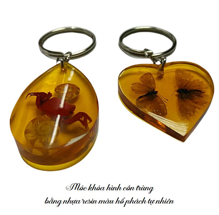 Móc khoá hình côn trùng bò cạp bướm bằng nhựa resin màu hổ phách tự nhiên Móc khoá hình côn trùng bò cạp bướm bằng nhựa resin màu hổ phách tự nhiên