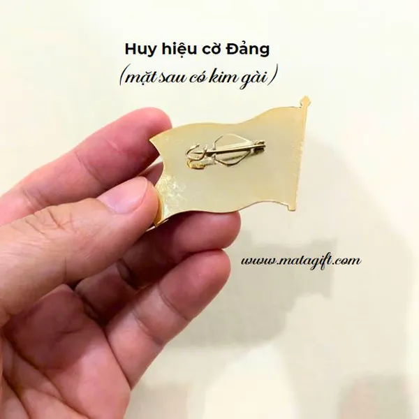 Huy hiệu Cờ Đảng