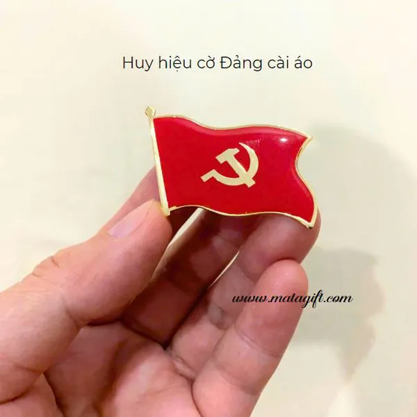 Huy hiệu Cờ Đảng