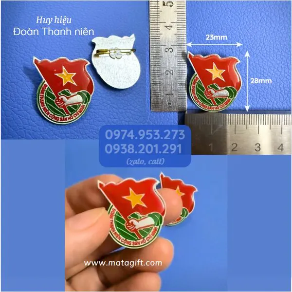 Huy hiệu Đoàn Thanh niên