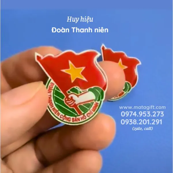 Huy hiệu Đoàn Thanh niên