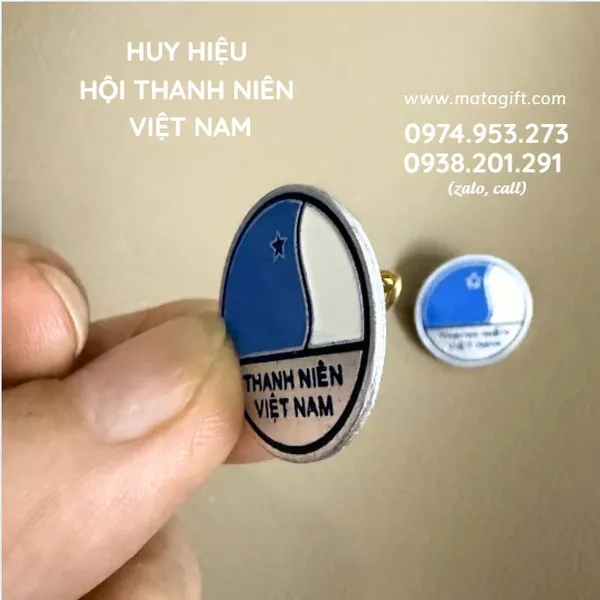 Huy hiệu Hội Thanh niên Việt Nam
