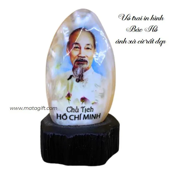 Vỏ trai in hình Bác Hồ