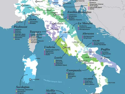 Khám Phá Các Vùng Rượu Vang Ý