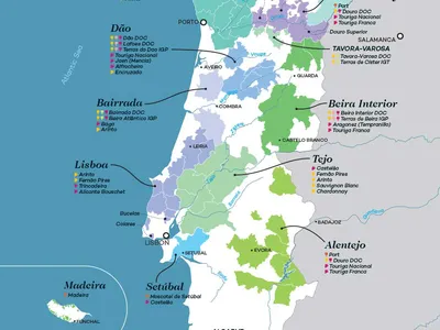 Khám Phá Rượu Vang Bồ Đào Nha: Từ Vang Port Huyền Thoại Đến Những Giống Nho Độc Bản