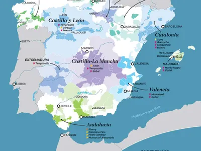 Khám Phá Rượu Vang Tây Ban Nha: Từ Bản Đồ Vùng Miền Đến Những Giống Nho Thượng Hạng