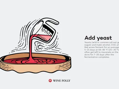 Quy Trình Sản Xuất Rượu Vang Đỏ: Từ Chùm Nho Đến Ly Rượu Hoàn Hảo