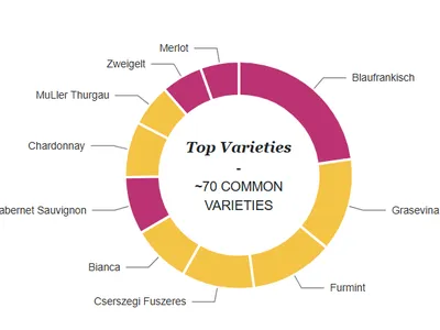 Khám Phá Các Vùng Rượu Vang Của Hungary