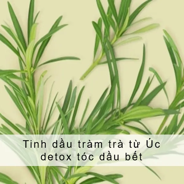 Sữa tắm Love Beauty And Planet detox sạch sâu lưu hương thanh mát với 100% tinh dầu tràm trà Úc