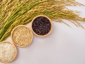 Giá lúa gạo hôm nay 14/11/2023: Giá lúa chững, giá gạo tăng