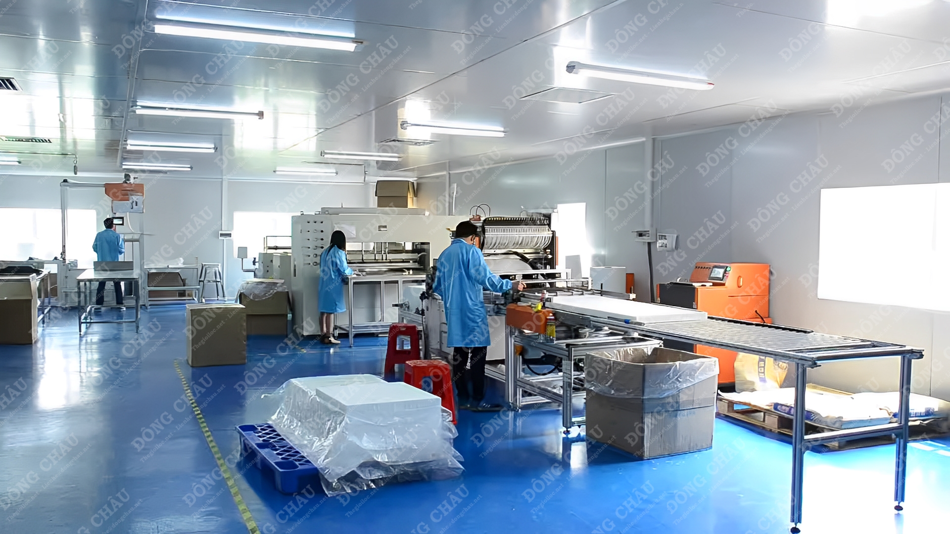 nhà máy DCF Gia công theo nhu cầu