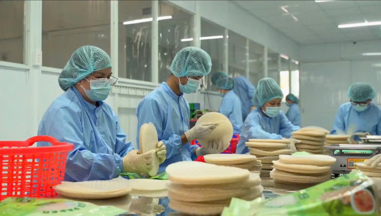 Tanisa rice paper is produced under modern processes Tanisa rice paper is produced under modern processes