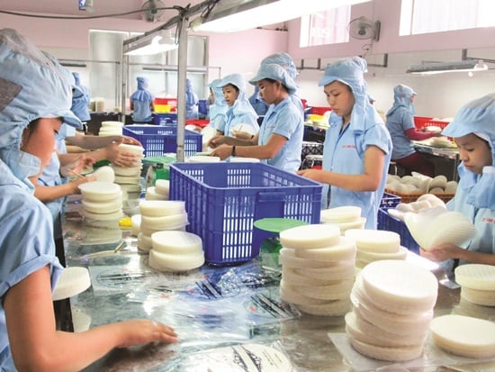 Rice paper manufacturer for export Rice paper manufacturer for export