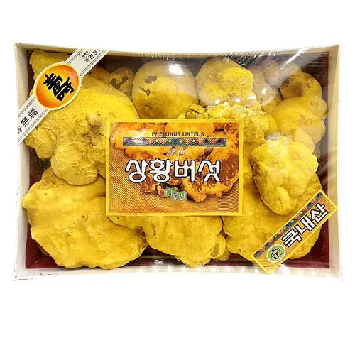 Nấm Linh Chi Thượng Hoàng Hàn Quốc 365 - 500g