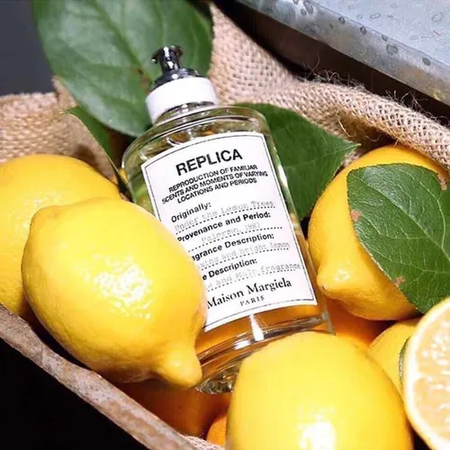 Maison Margiela Replica Under the Lemon Trees