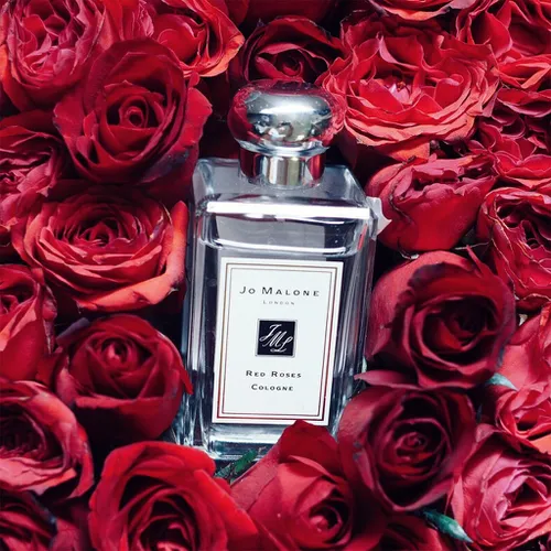 Nước Hoa Jo Malone London Red Roses Cologne 100ML