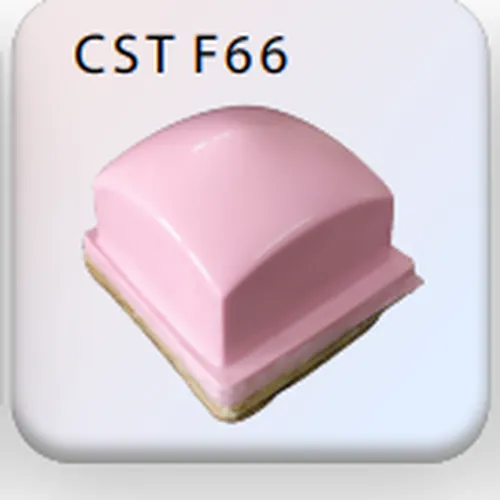 Đầu in tampon (pad) CST F66