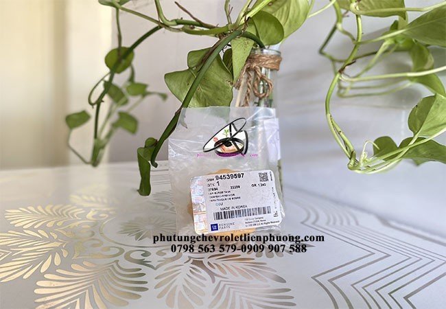 nắp bình nước phụ captiva nắp bình nước phụ captiva