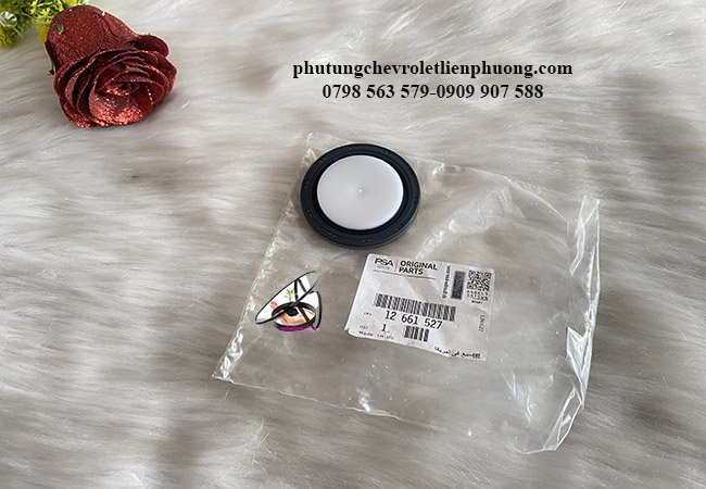 phớt đầu trục cơ fadil chính hãng gm phớt đầu trục cơ fadil chính hãng gm