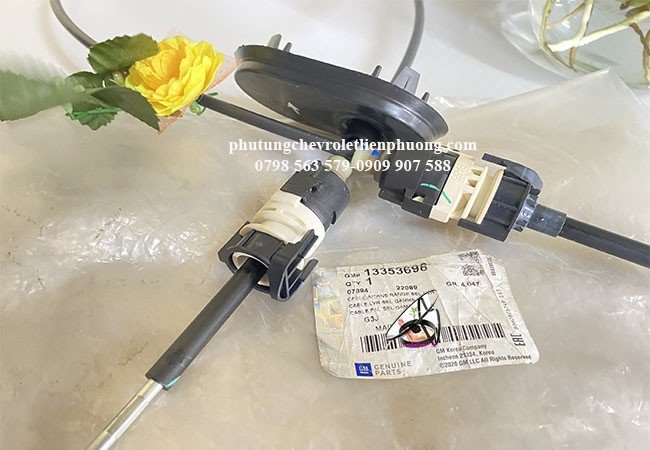 dây đi số orlando dây đi số orlando