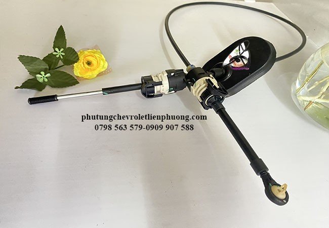 dây đi số orlando dây đi số orlando