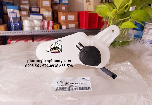 chi tiết bình nước phụ hyundai i10 chính hãng chi tiết bình nước phụ hyundai i10 chính hãng