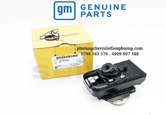 chân máy dưới phải colorado chân máy dưới phải colorado