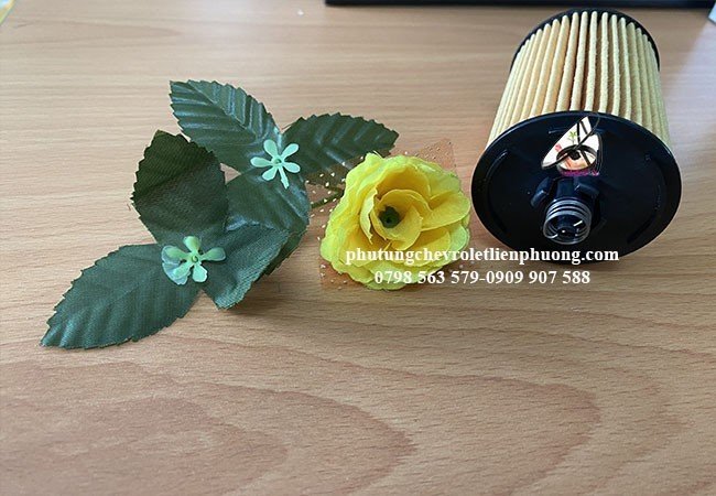 lọc dầu giấy xe orlando lọc dầu giấy xe orlando