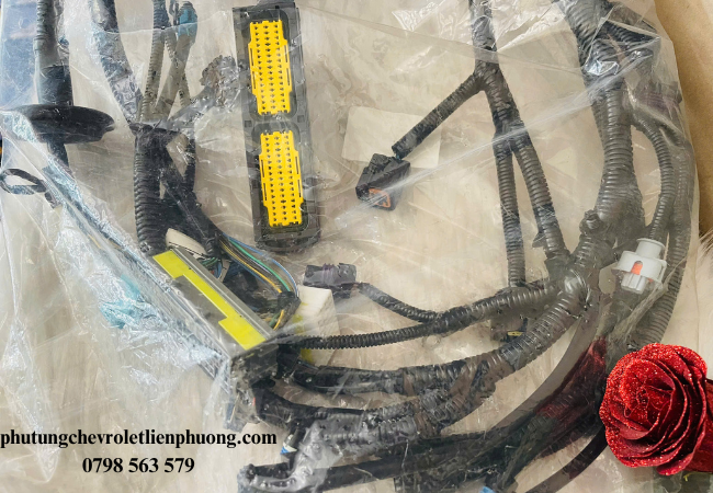 Bộ dây điện động cơ Spark tạo điều kiện cho các hệ thống điện hoạt động trơn tru Bộ dây điện động cơ Spark tạo điều kiện cho các hệ thống điện hoạt động trơn tru