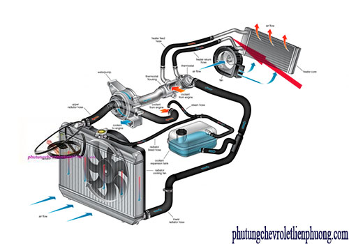 Ống hồi nước nóng xe Chevrolet Captiva Vị trí ống hồi nước nóng xe Chevrolet Captiva
