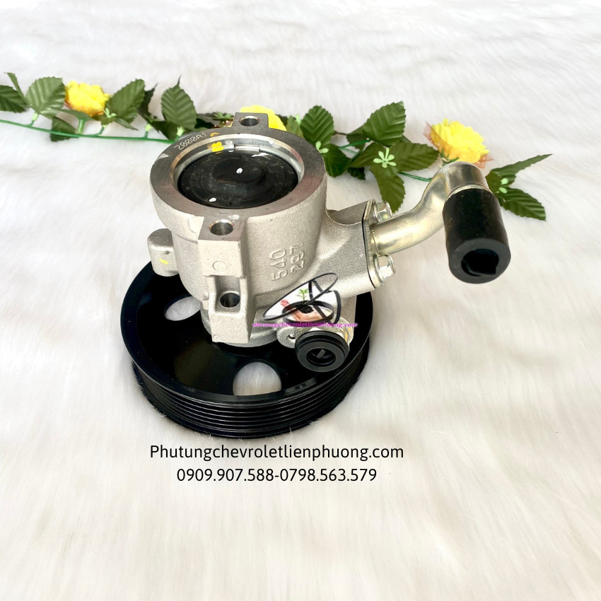bơm trợ lực lái xe laceti việt 2010 bơm trợ lực lái xe laceti việt 2010