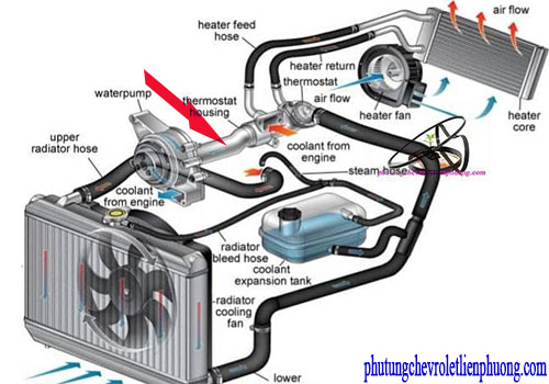 Ống nước từ ống chia đến bơm xe Chevrolet Captiva   Ống nước từ ống chia đến bơm xe Chevrolet Captiva
