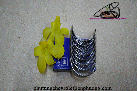 bạc biên Laceti/Gentra bạc biên Laceti/Gentra